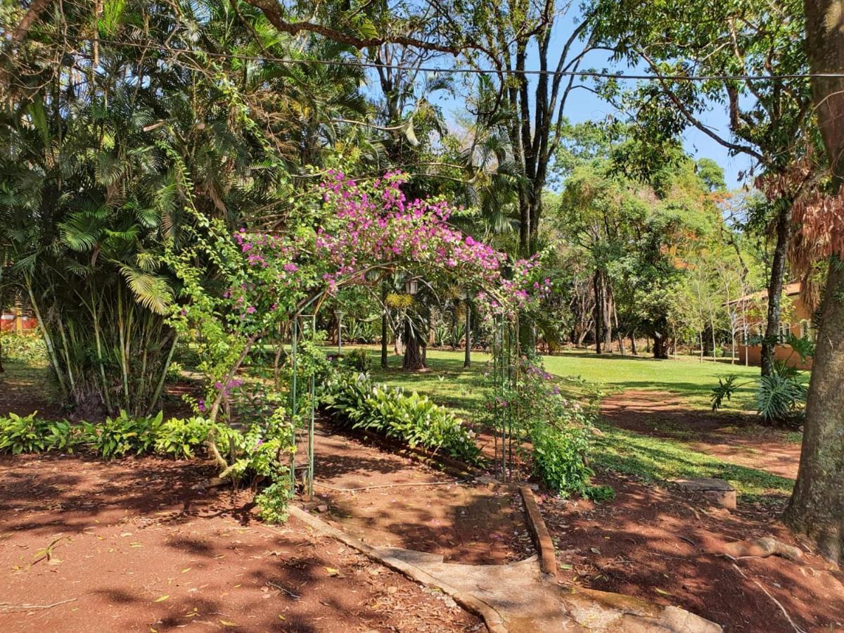 Fazenda Santa Clementina Apartment อารารัส ภายนอก รูปภาพ